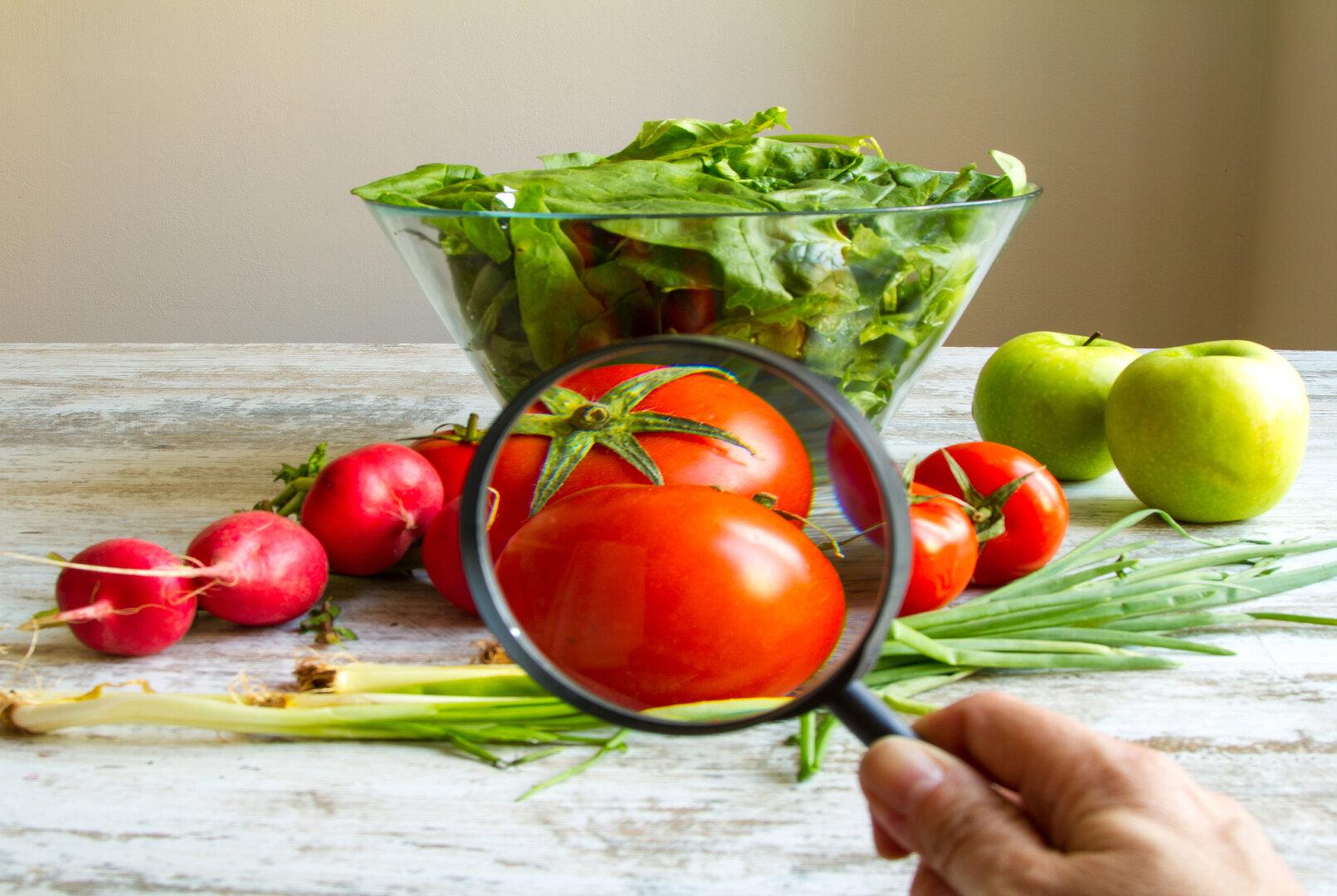 Hygiène et sécurité alimentaire Hygiène et sécurité alimentaire